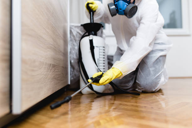 Pest Prevention Services in De Leon, TX