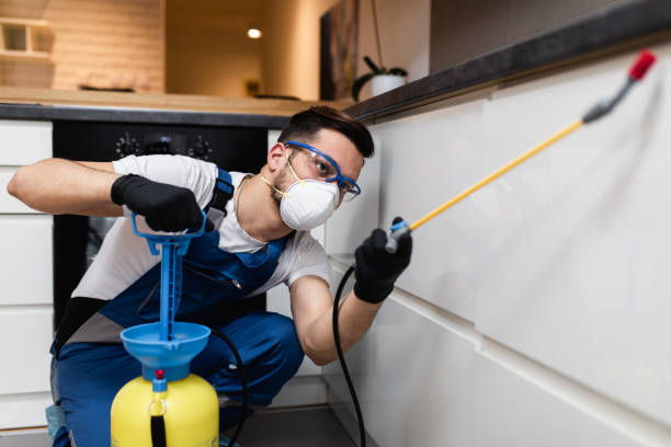 Best Mosquito Control Services  in De Leon, TX