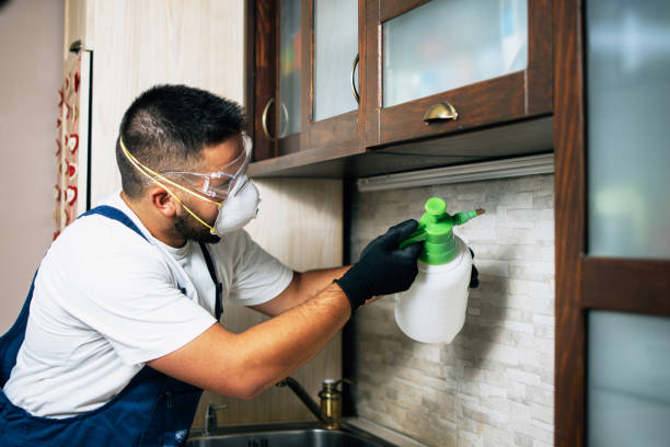 Best Pest Prevention Services  in De Leon, TX