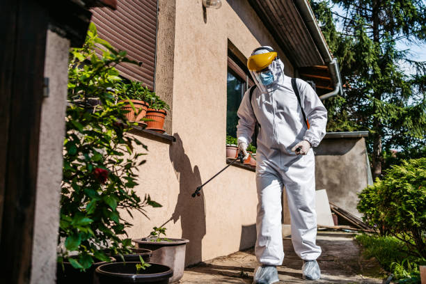 Best Exterminator Services  in De Leon, TX