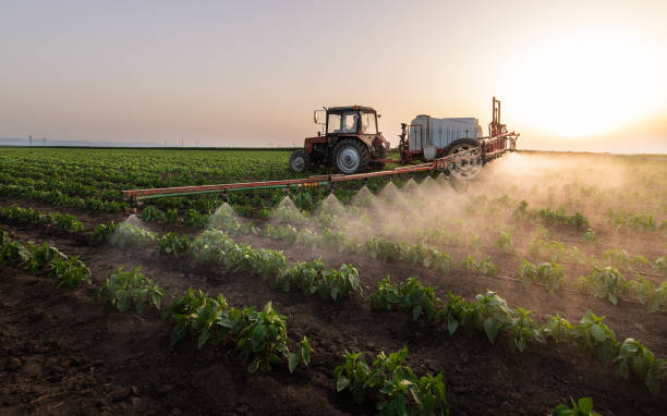 Best Pest Removal Services  in De Leon, TX