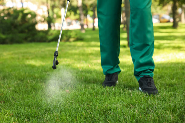 Best Pest Inspection Near Me  in De Leon, TX