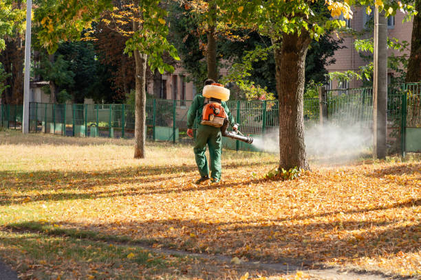 Best Bed Bug Extermination  in De Leon, TX